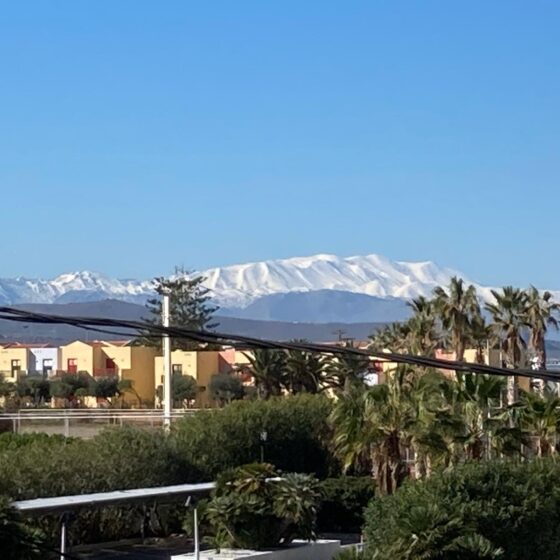 Aussicht vom Balkon